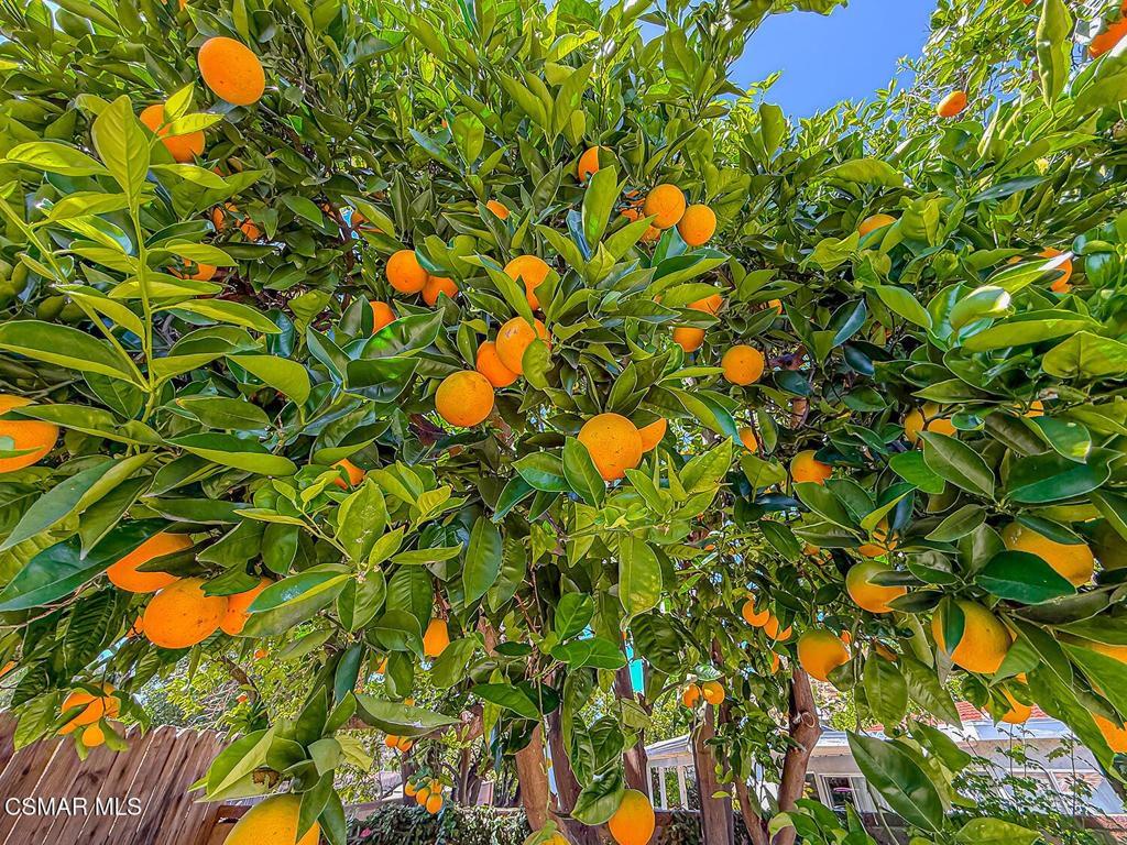 Property photo 45